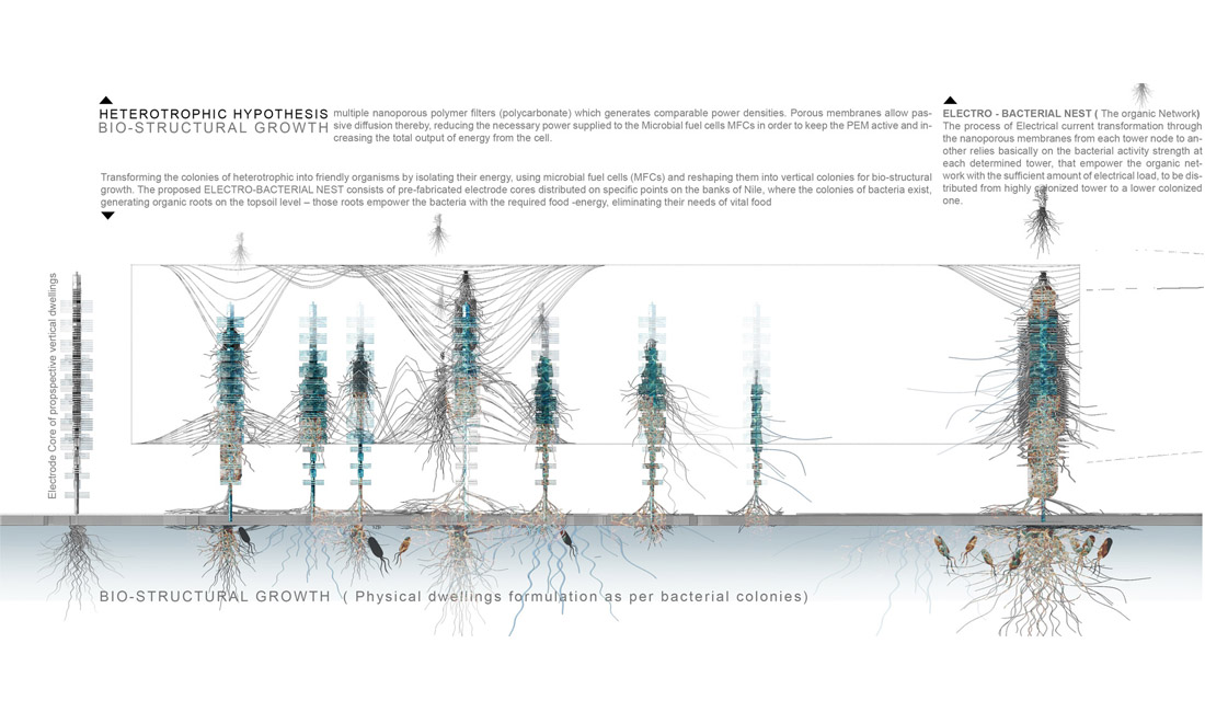 Heterotrophic electro-bacterial nest